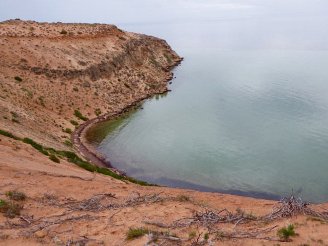 Love the rocky coastline
