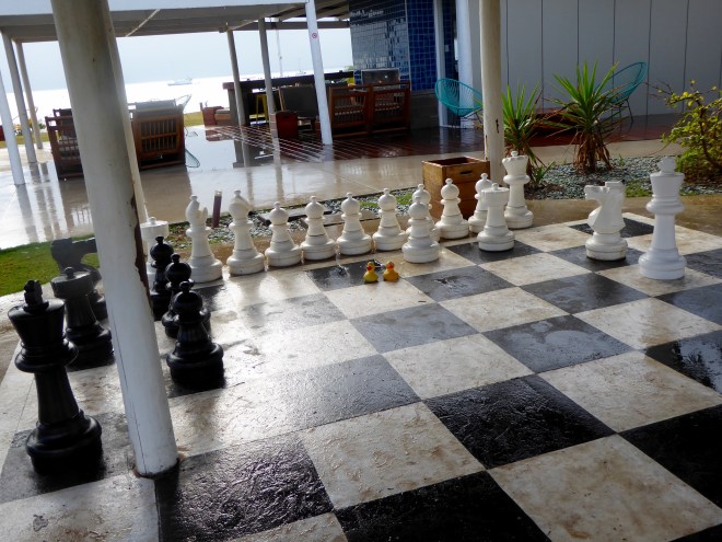 Help us play chess. We cannot move the pieces