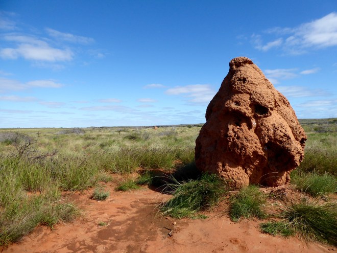 Big, lumpy termite hill