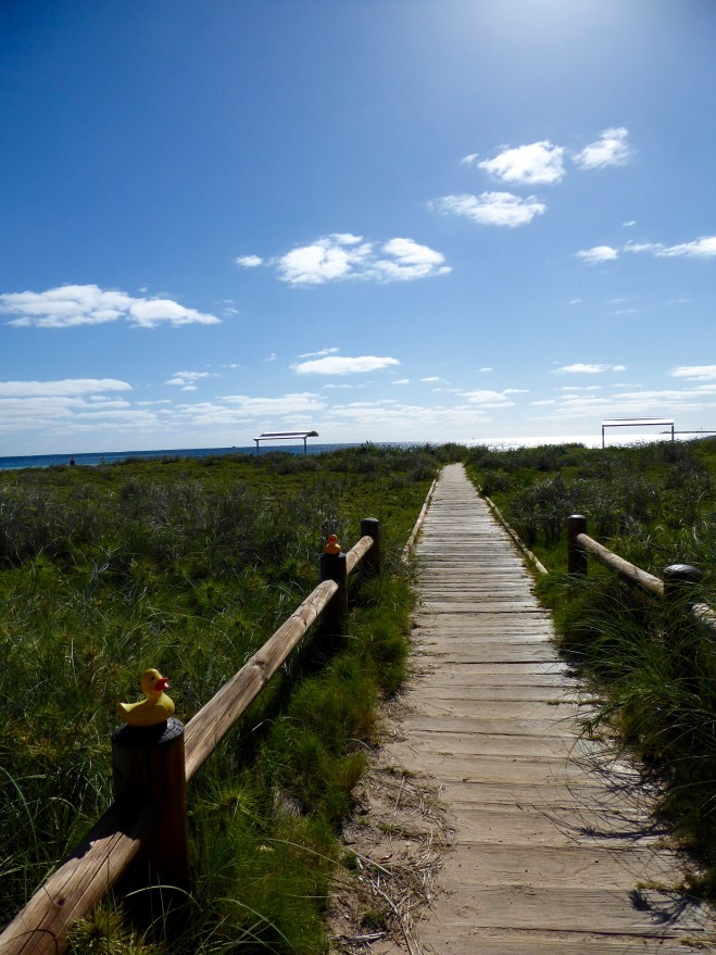 Boardwalk to the beach