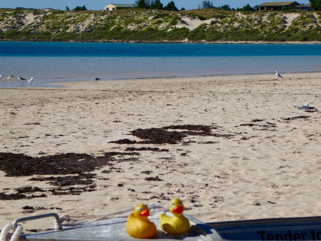 Beautiful beach and not many humans