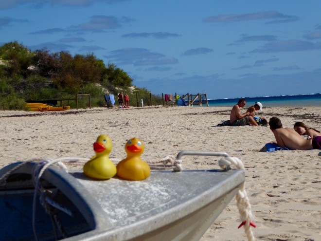 Swmming and sunning here