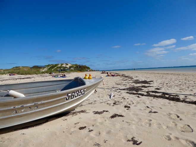 Lets take a boat ride