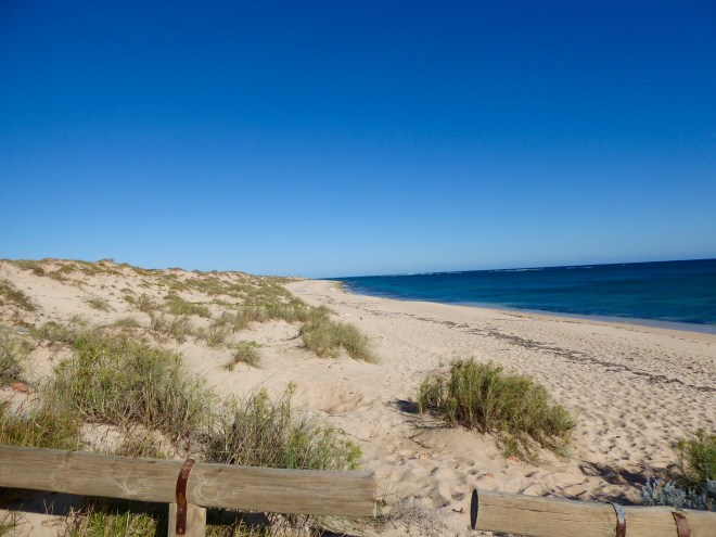 Turtle nesting beach