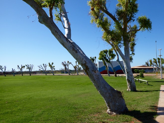 Koobooroo Oval in Exmouth