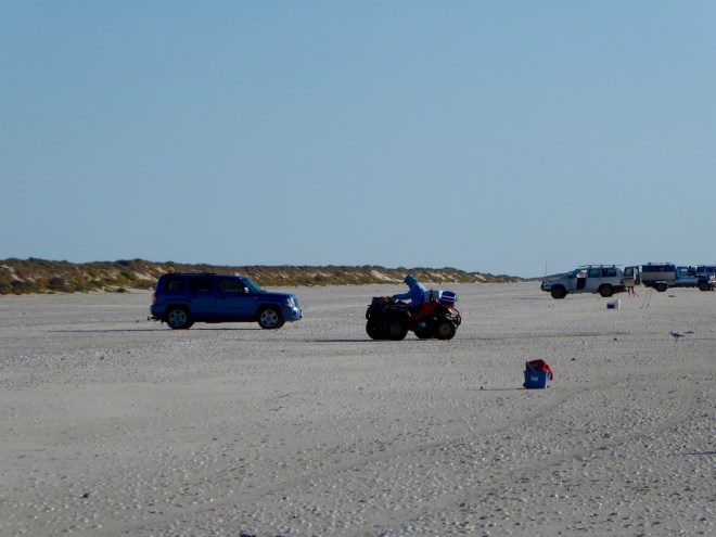 Driving on the beach