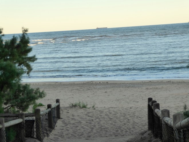 Path to beach at Indian Ocean