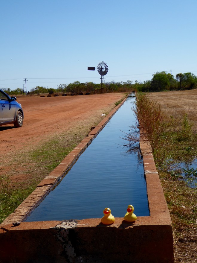 Longest cattle trough