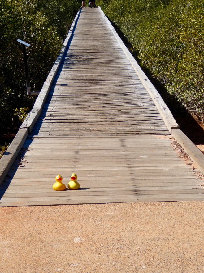We are going to explore Streeter's Jetty