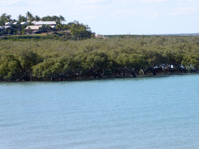 High tide. Water in tree area