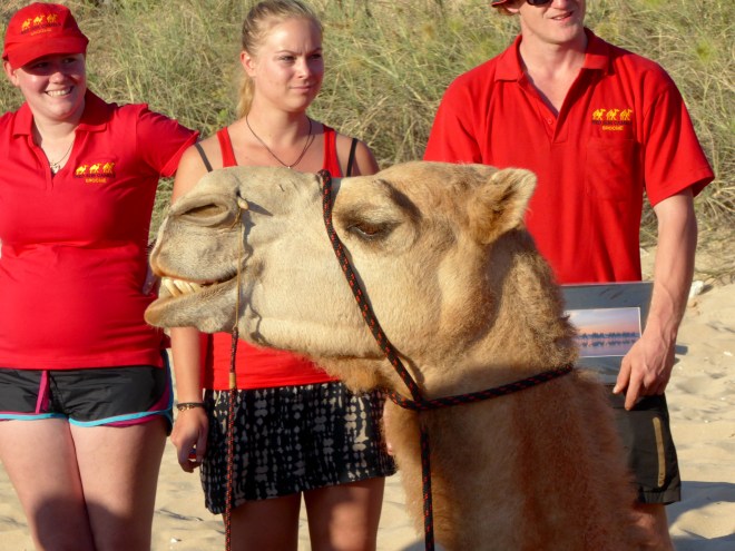 These humans will help us