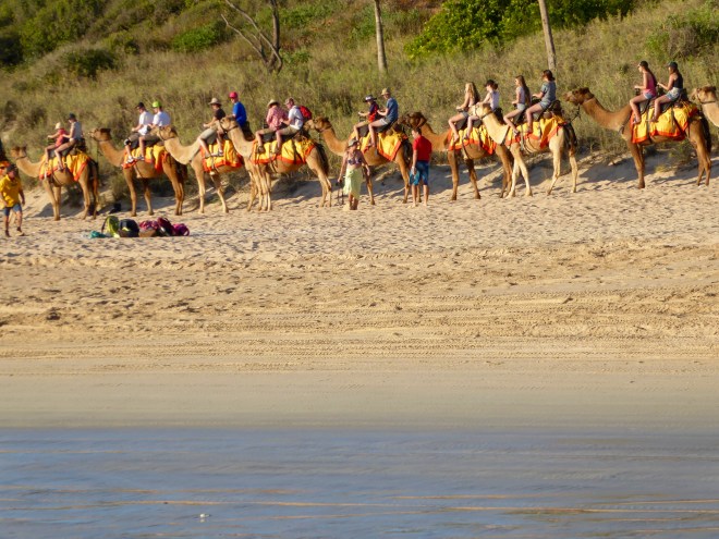 Yellow blankets are attractive