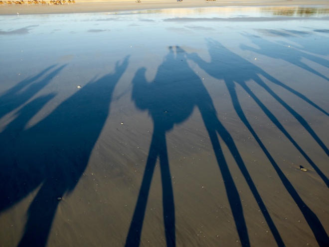 Shadow shows we are far above the sand