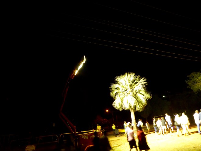 Flood lights on a palm tree
