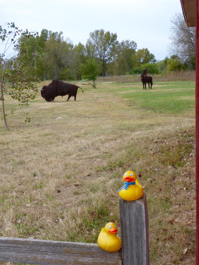 Where the buffalo roamed 