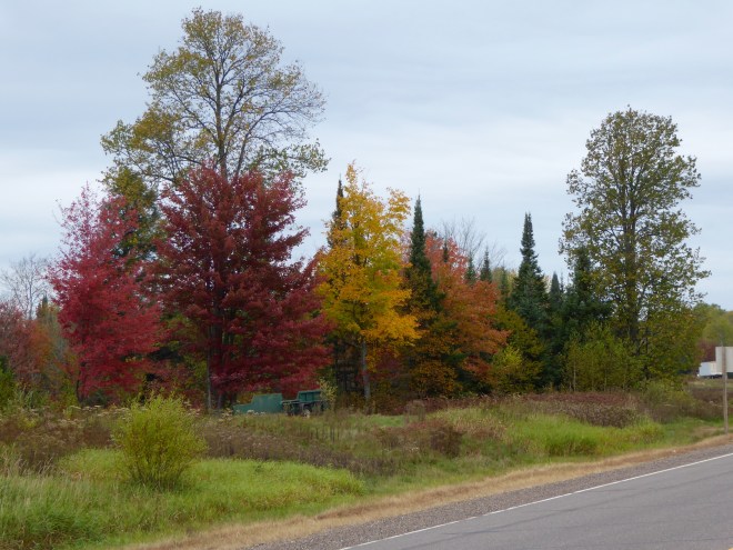 Leaves changing, but not peak colors yet