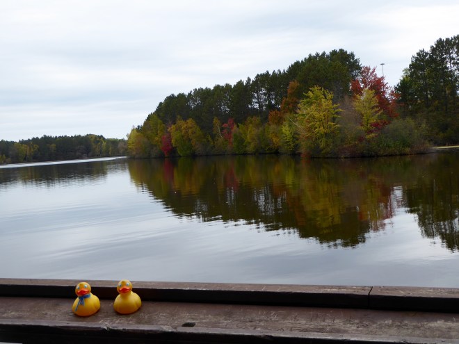 Reflections in the lake