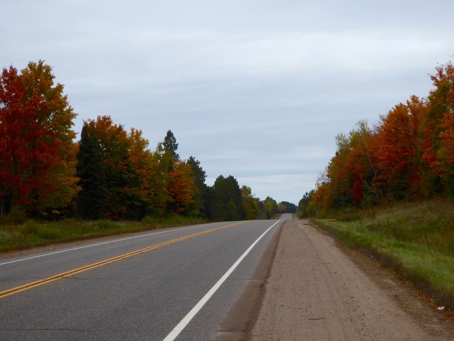 Typical Northern Wisconsin road