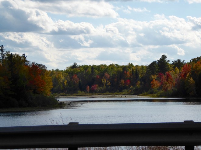 Leaves starting to change around this lake