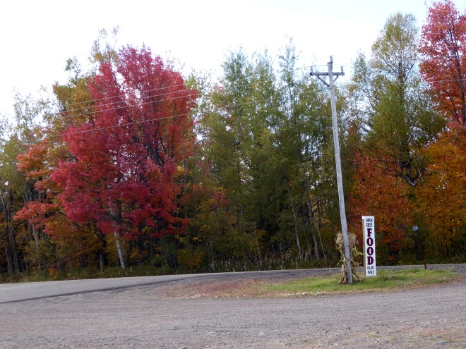 Beautiful red leaves--and tasty food