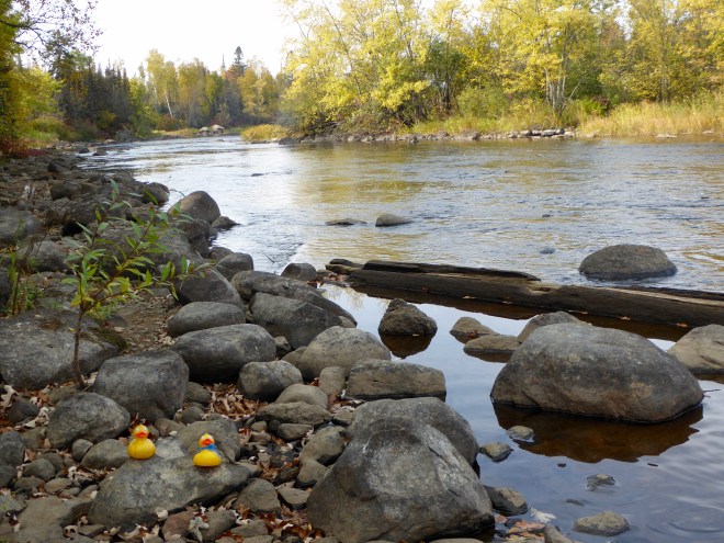 Rivers too. Not only lakes in Minnesota 