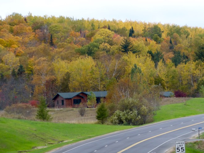 We thought this house and trees were beautiful