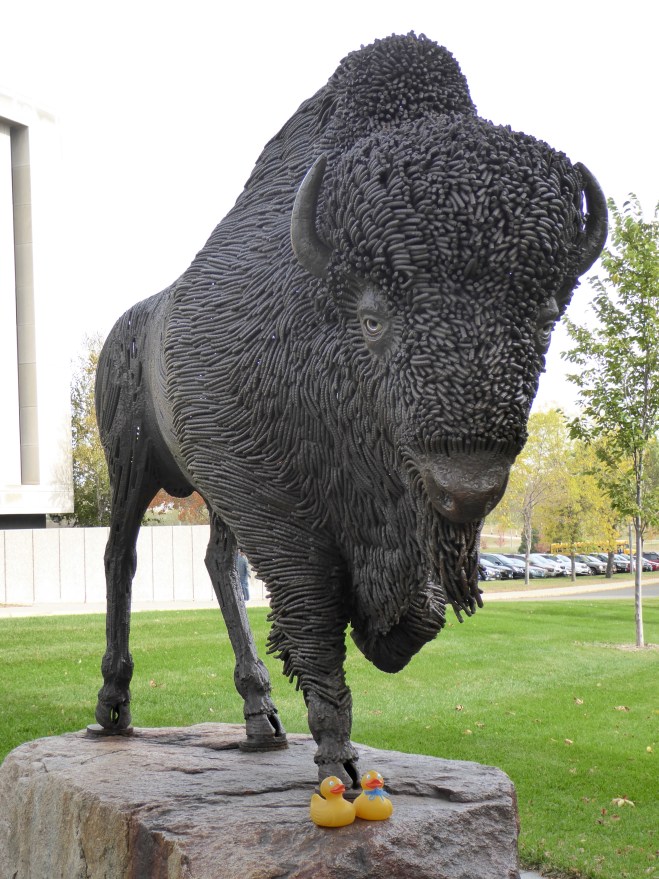 We are at the foot of this buffalo. Mom, careful we don't want to get stepped on