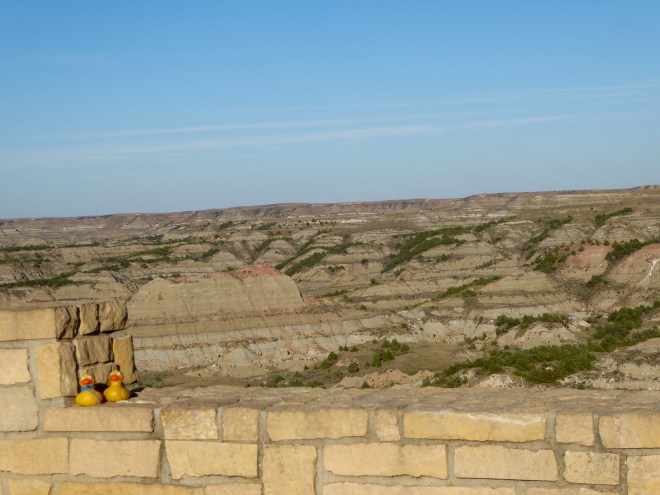 Pink in the Painted Canyon