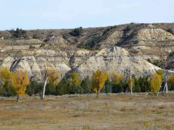 Overlooking Little Missouri River