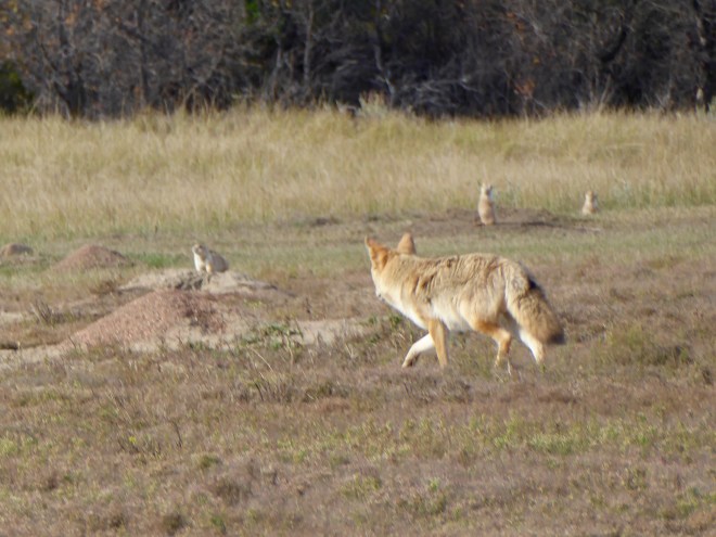 Could this be trouble?