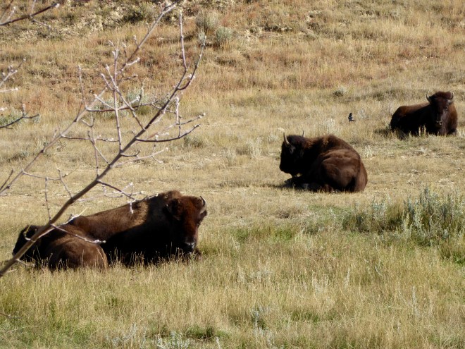 Enjoying the sunny day.