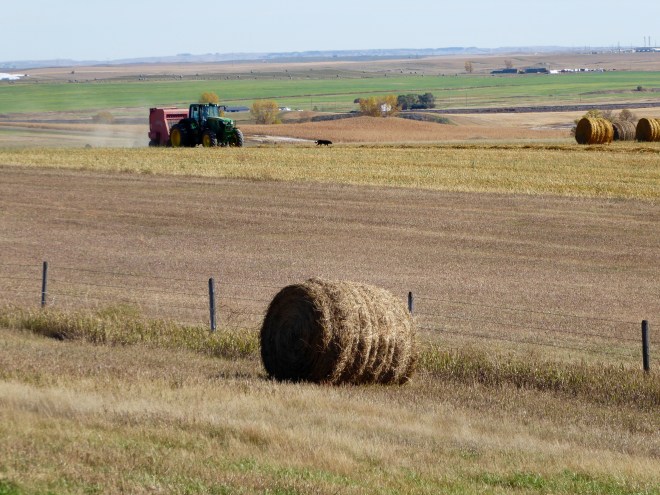 A farmers work is never done