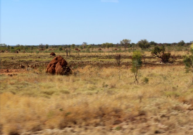 So many termite hills