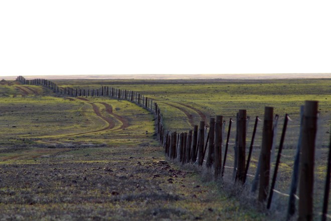 Longest structure in the world