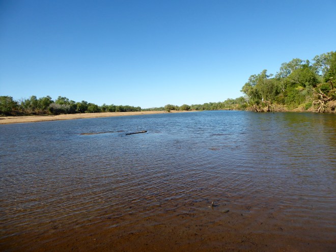 Fitzroy River is now wide and shallow