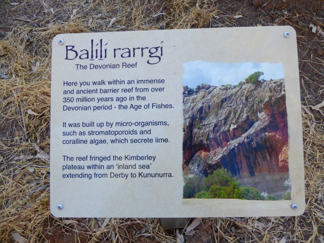 A tropical sea and tropical reef were here