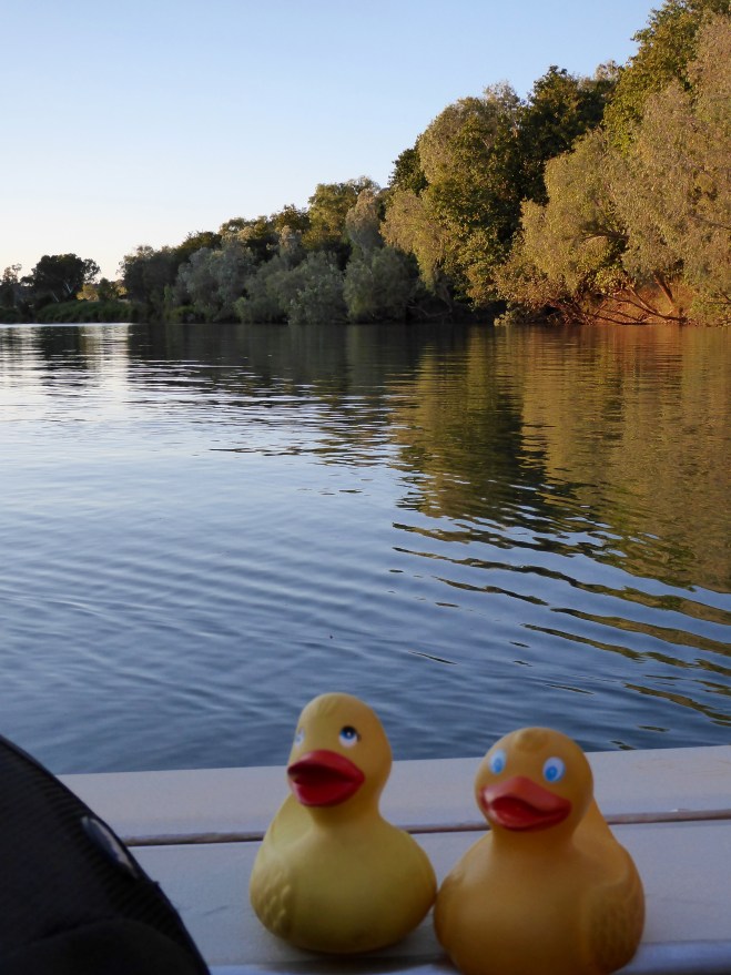 Cruising down the Fitzroy River