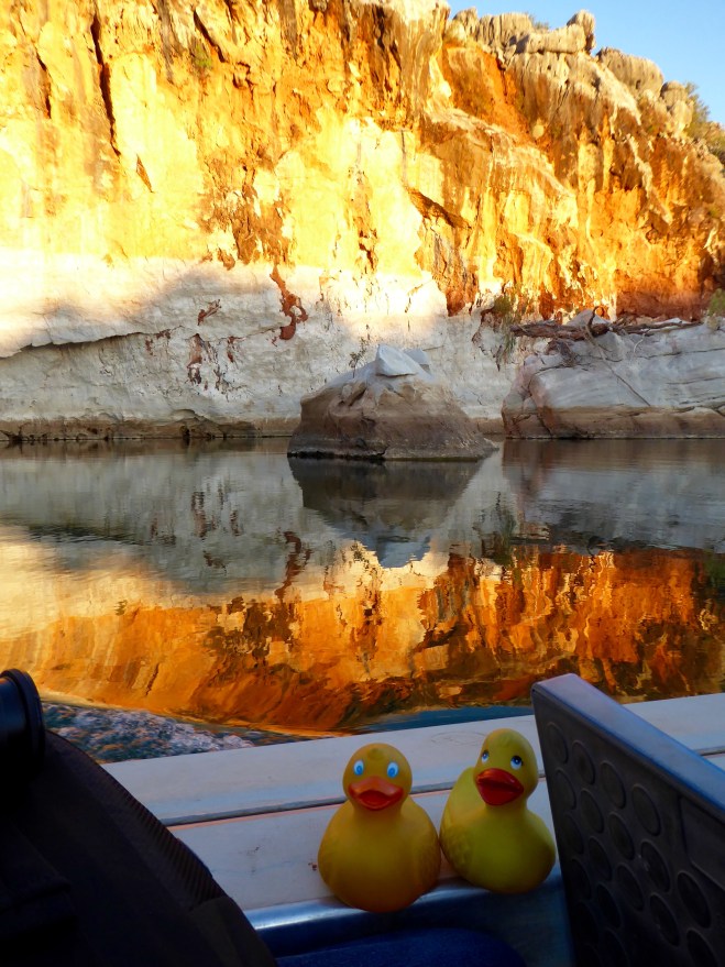 Bright colors and bright reflection