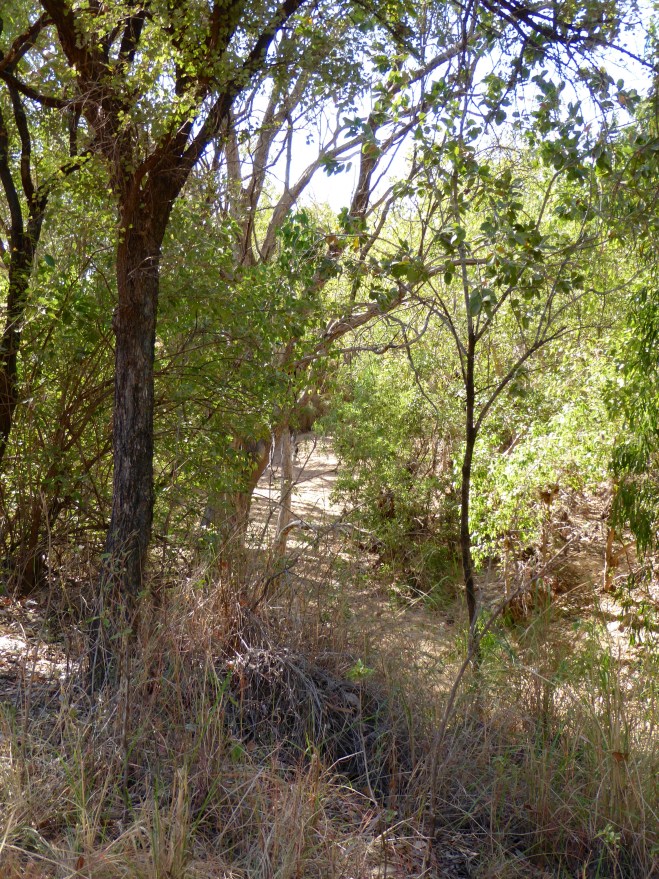 For driving or hiking