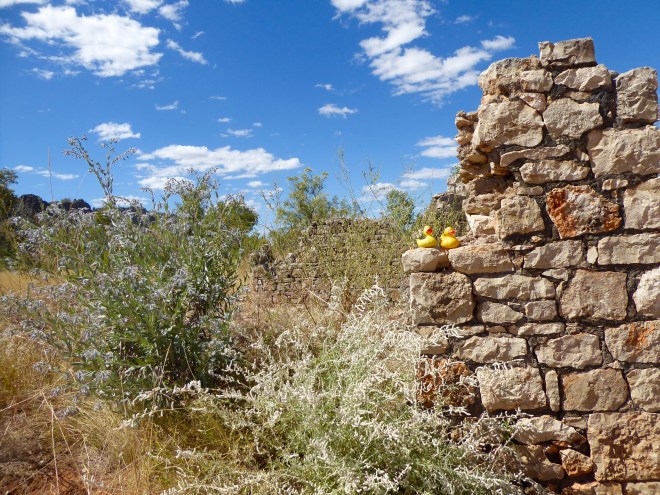 Lilliwooloora Police Station Ruins