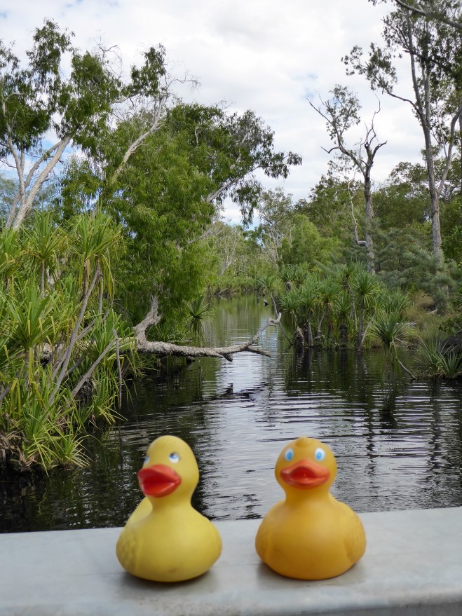 Edith Falls feeds this serene river