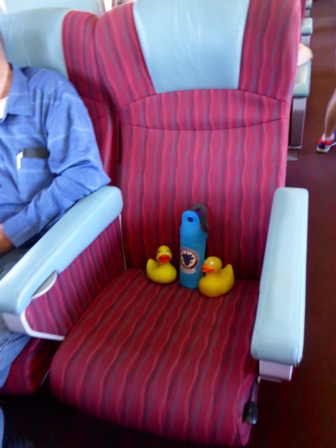 Comfortable in our seat with a water bottle