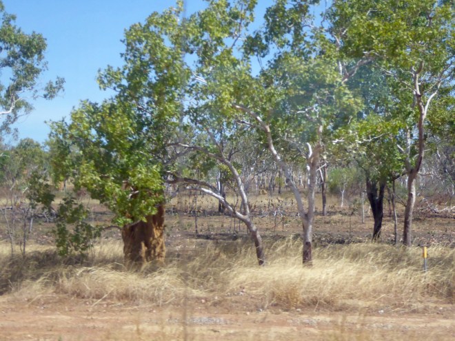 Approaching town of Adelaide River