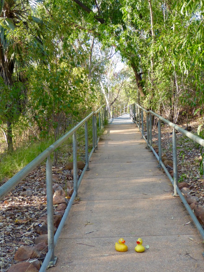 Hiking in Nitmiluk National Park