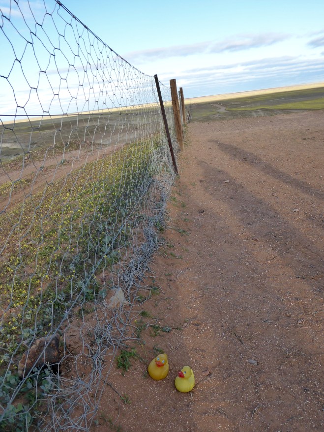 We are at the Dingo Fence