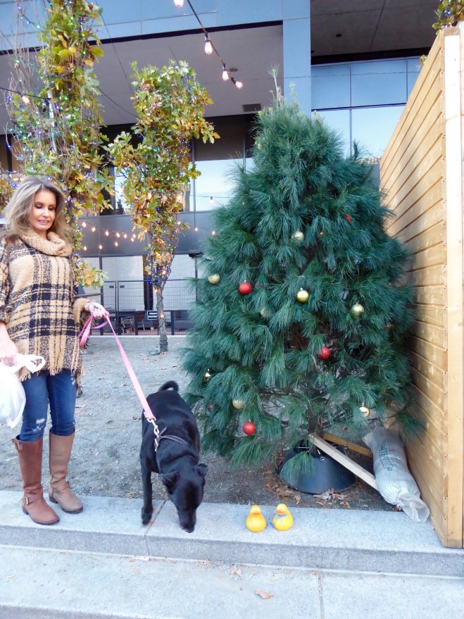 Let's decorate this tree