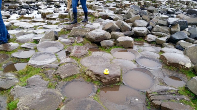Basalt columns make steps at Giant's Causeway