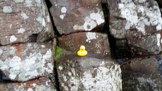 Tall columns at Giant's Causeway