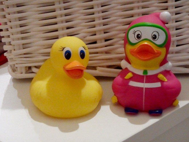 Ms. Ducky and friend