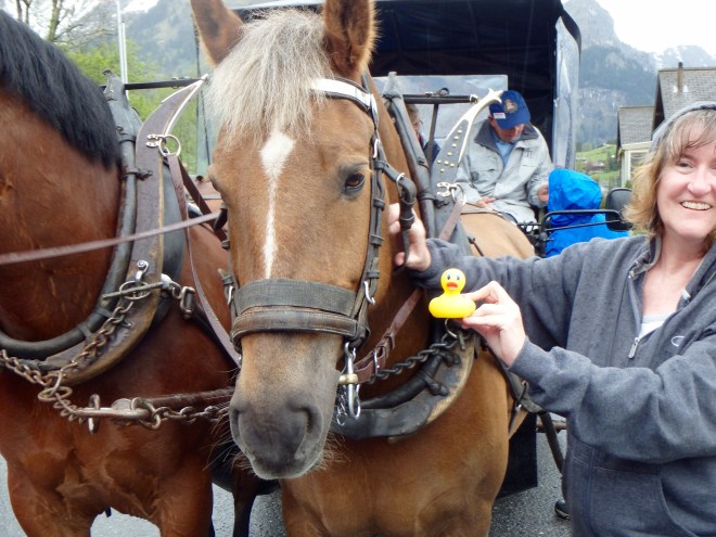Ready for carriage ride